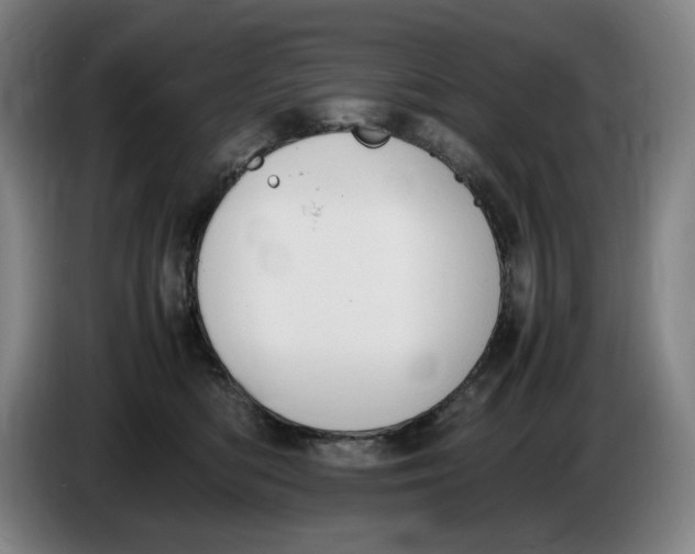 X0000086340422200704202105