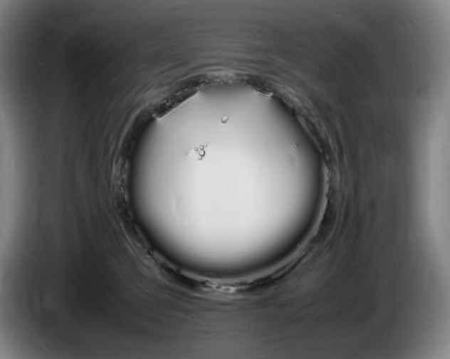 X0000086340423200704202105