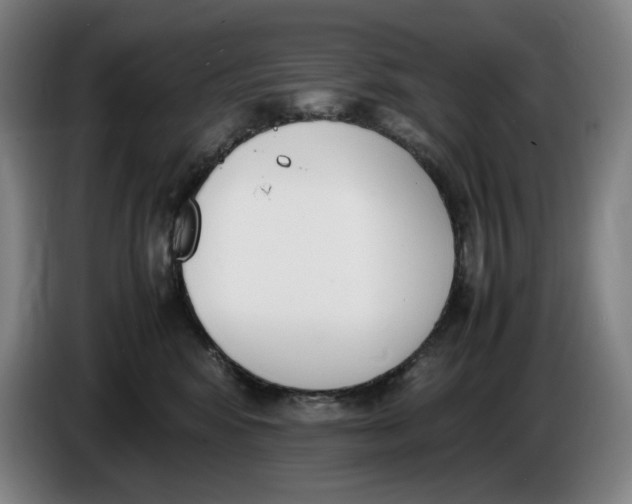 X0000086340424200704202105