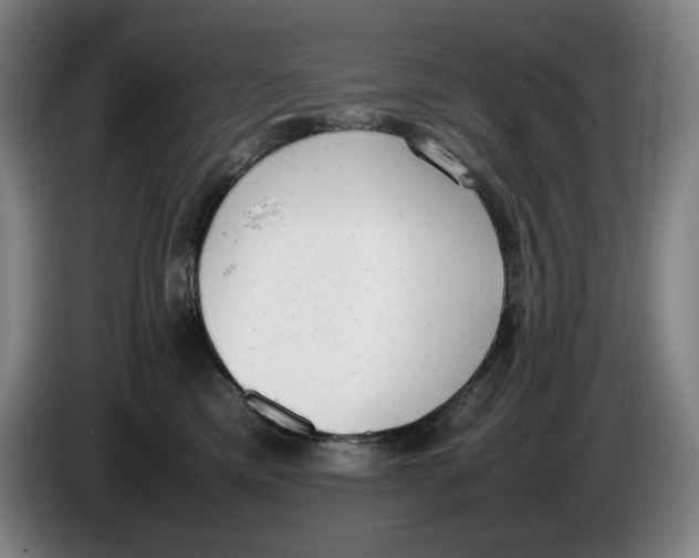 X0000086340425200704202105