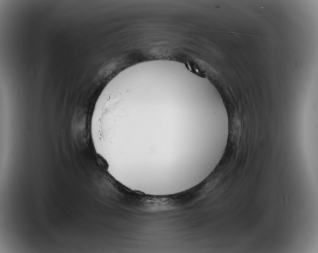 X0000086340428200704202105