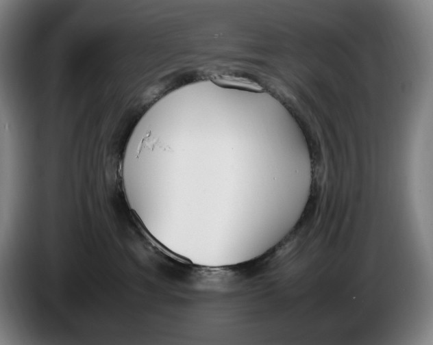 X0000086340429200704202105
