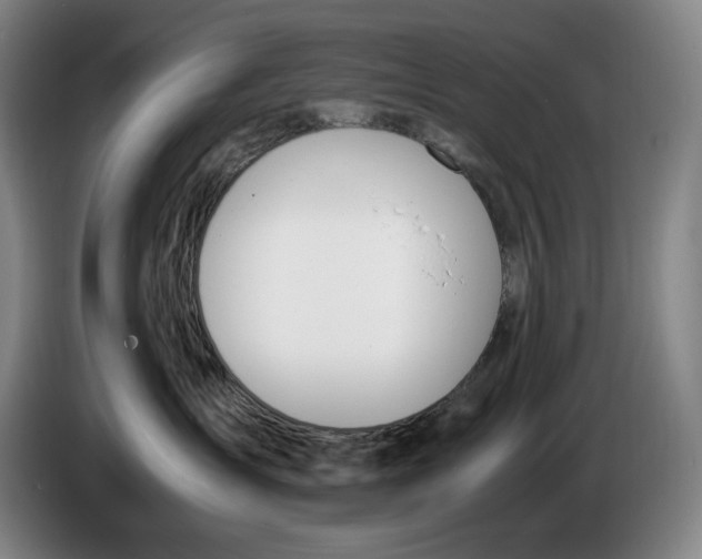 X0000086340431200704202105
