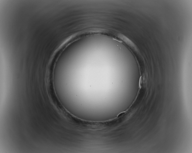 X0000086340436200704202104
