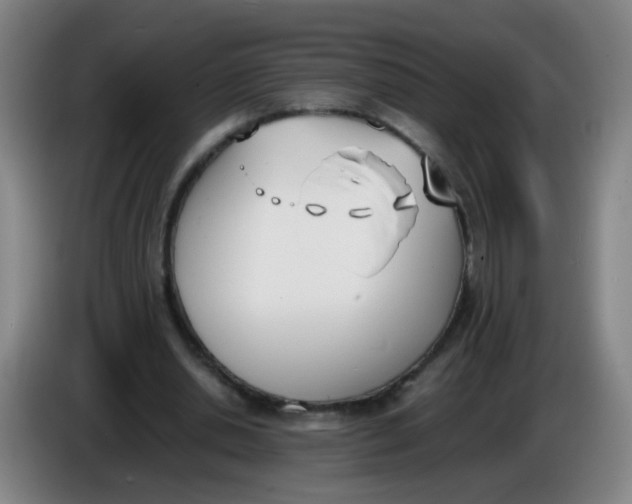 X0000086340438200704202104