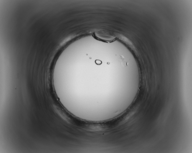 X0000086340439200704202104