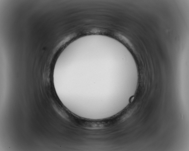 X0000086340443200704202104