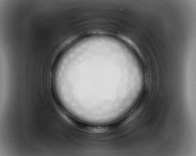 X0000086340445200704202104