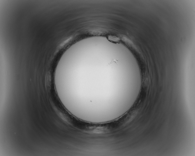 X0000086340448200704202104
