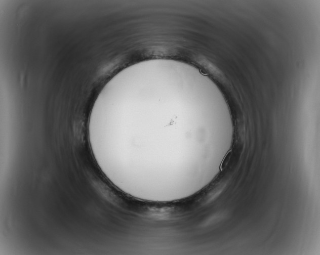 X0000086340450200704202104