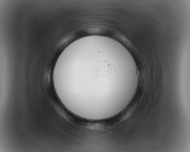 X0000086340454200704202104