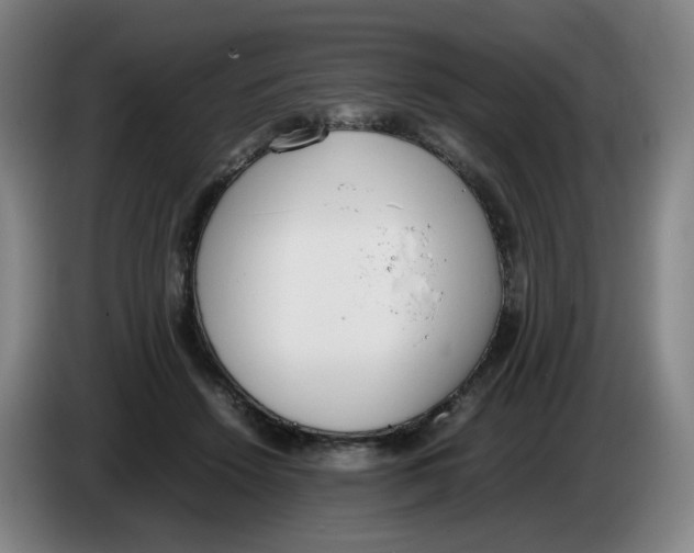 X0000086340456200704202104