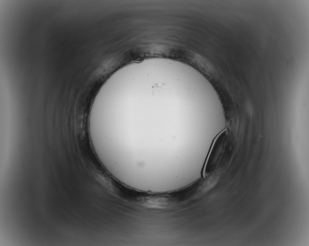 X0000086340462200704202104