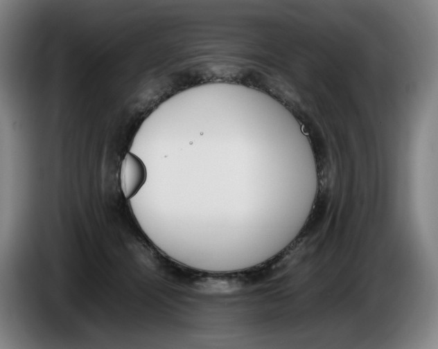 X0000086340464200704202104