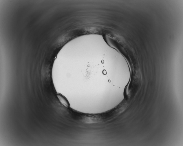 X0000086340466200704202104