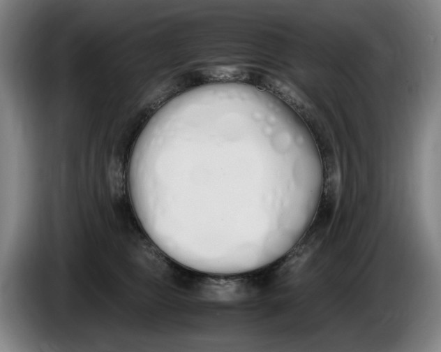 X0000086340469200704202104