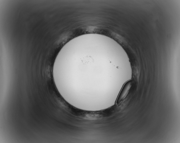 X0000086340470200704202104