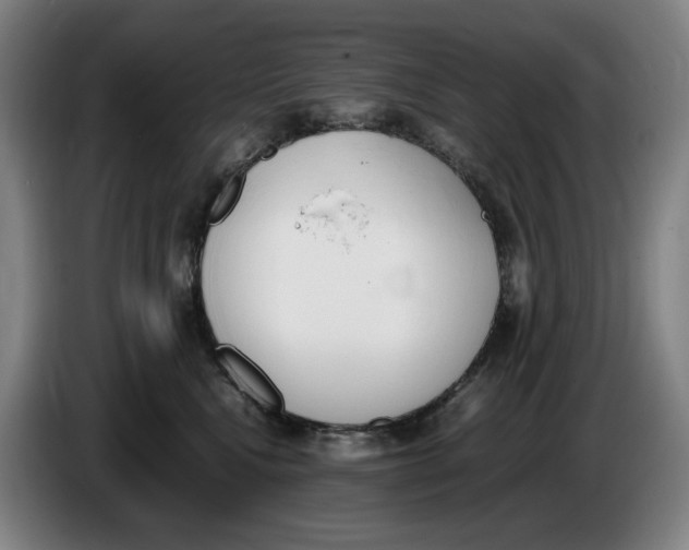 X0000086340472200704202104