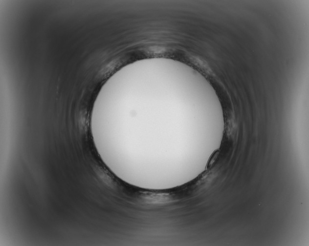X0000086340476200704202104