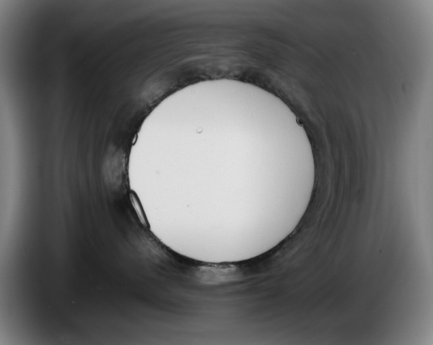 X0000086340480200704202105