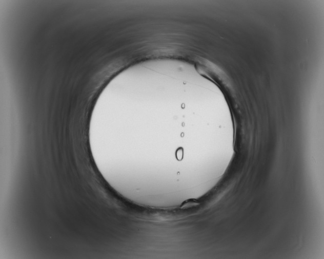 X0000086340481200704202104