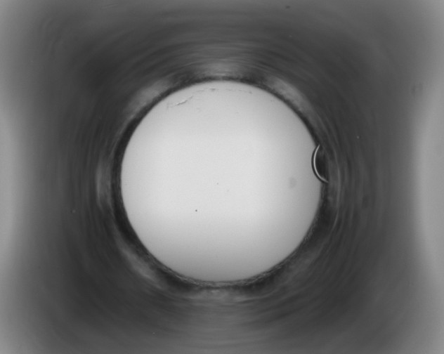 X0000086340482200704202104