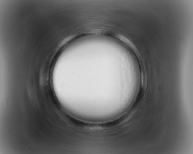 X0000086340483200704202104