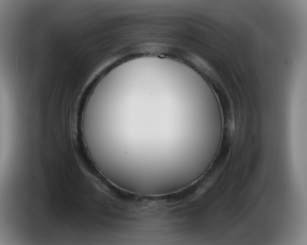 X0000086340484200704202104