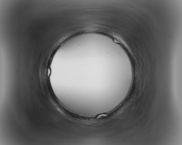 X0000086340485200704202104