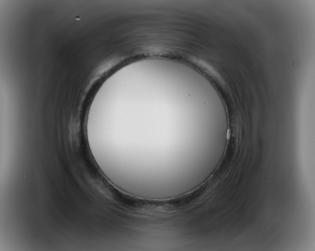 X0000086340488200704202104