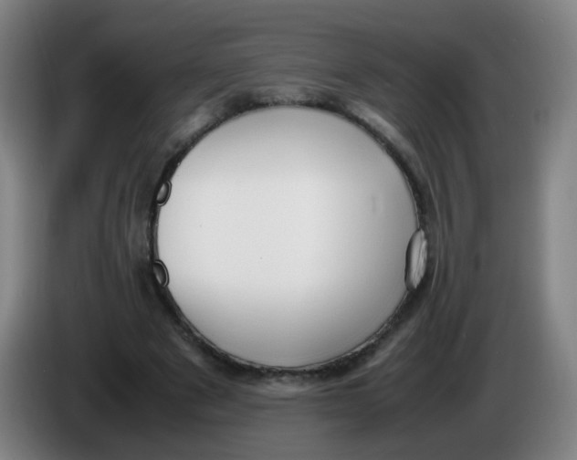 X0000086340489200704202104