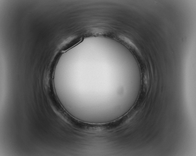 X0000086340492200704202104