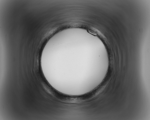 X0000086340493200704202104