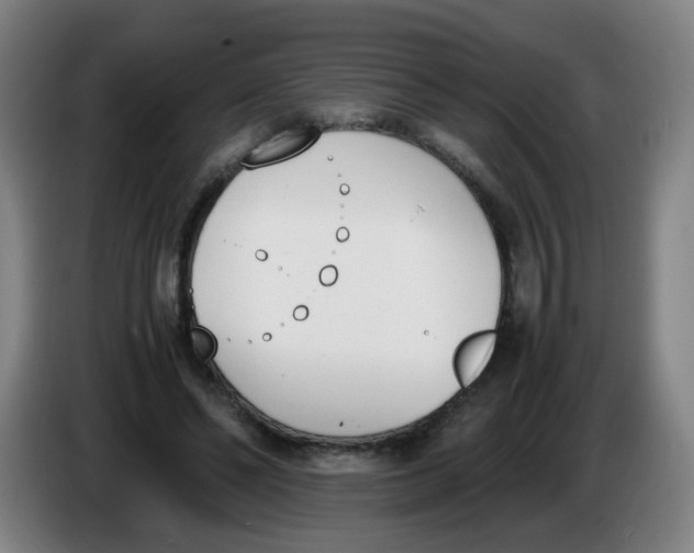X0000086340494200704202104