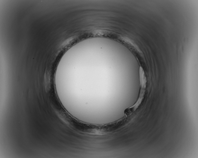 X0000086340496200704202104