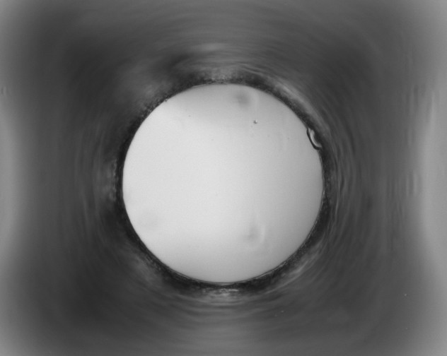 X0000086340497200704202104