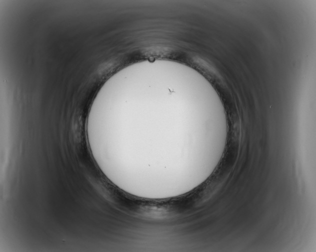 X0000086340498200704202104