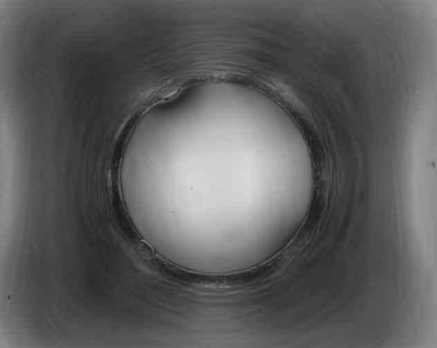 X0000086340500200704202104