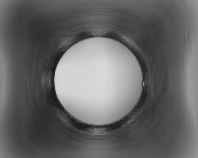 X0000086340501200704202104
