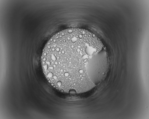 X0000086340503200704202104