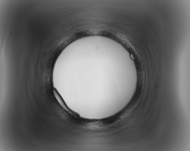X0000086340505200704202104