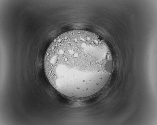 X0000086340507200704202104