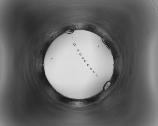 X0000086340509200704202104