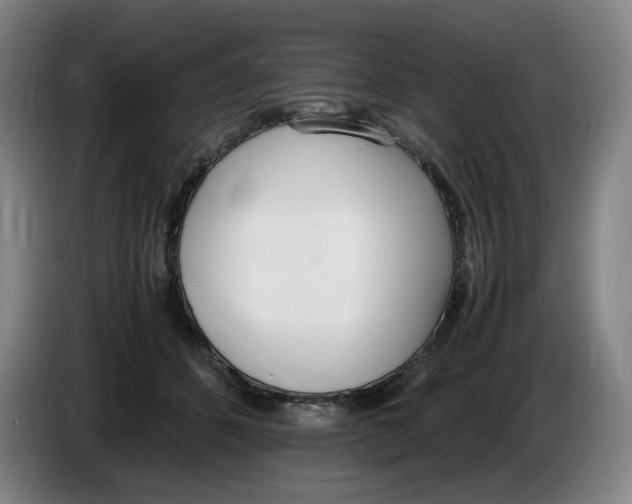 X0000086340512200704202104