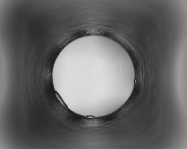 X0000086340513200704202104