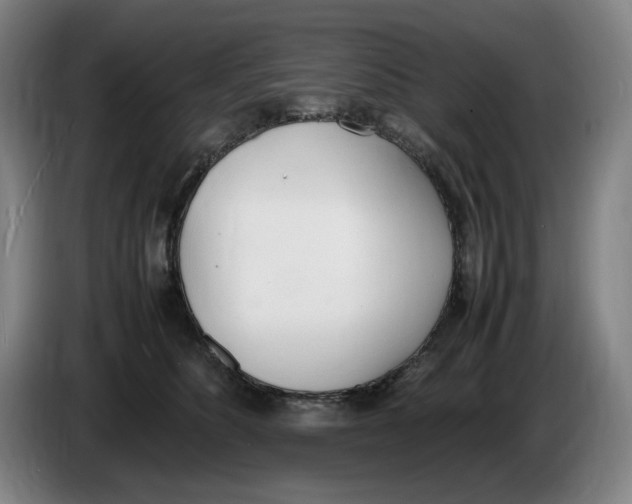 X0000086340516200704202103