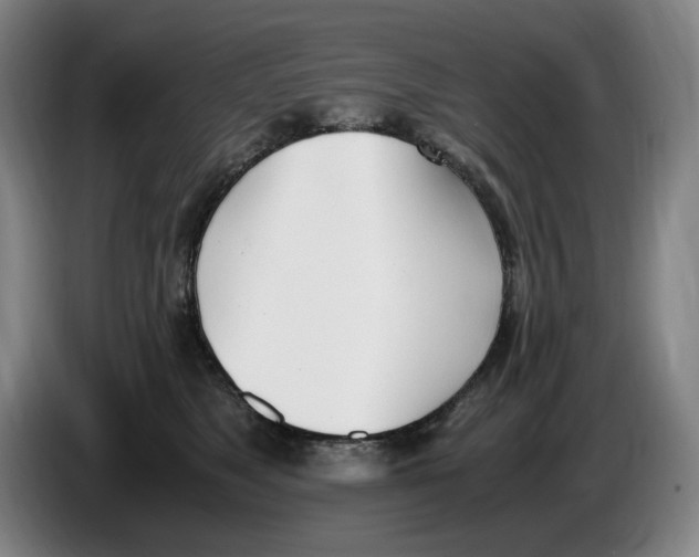X0000086340517200704202103