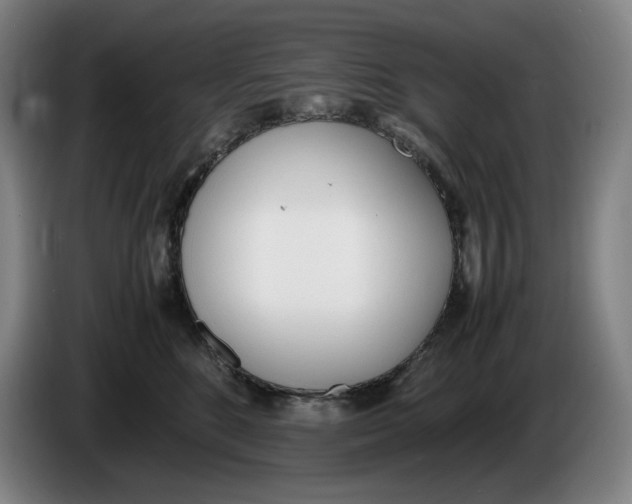 X0000086340520200704202103