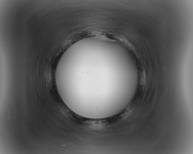 X0000086340524200704202103