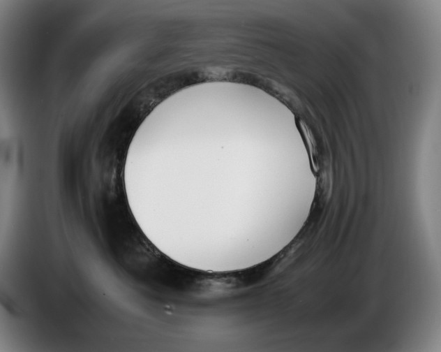 X0000086340525200704202103